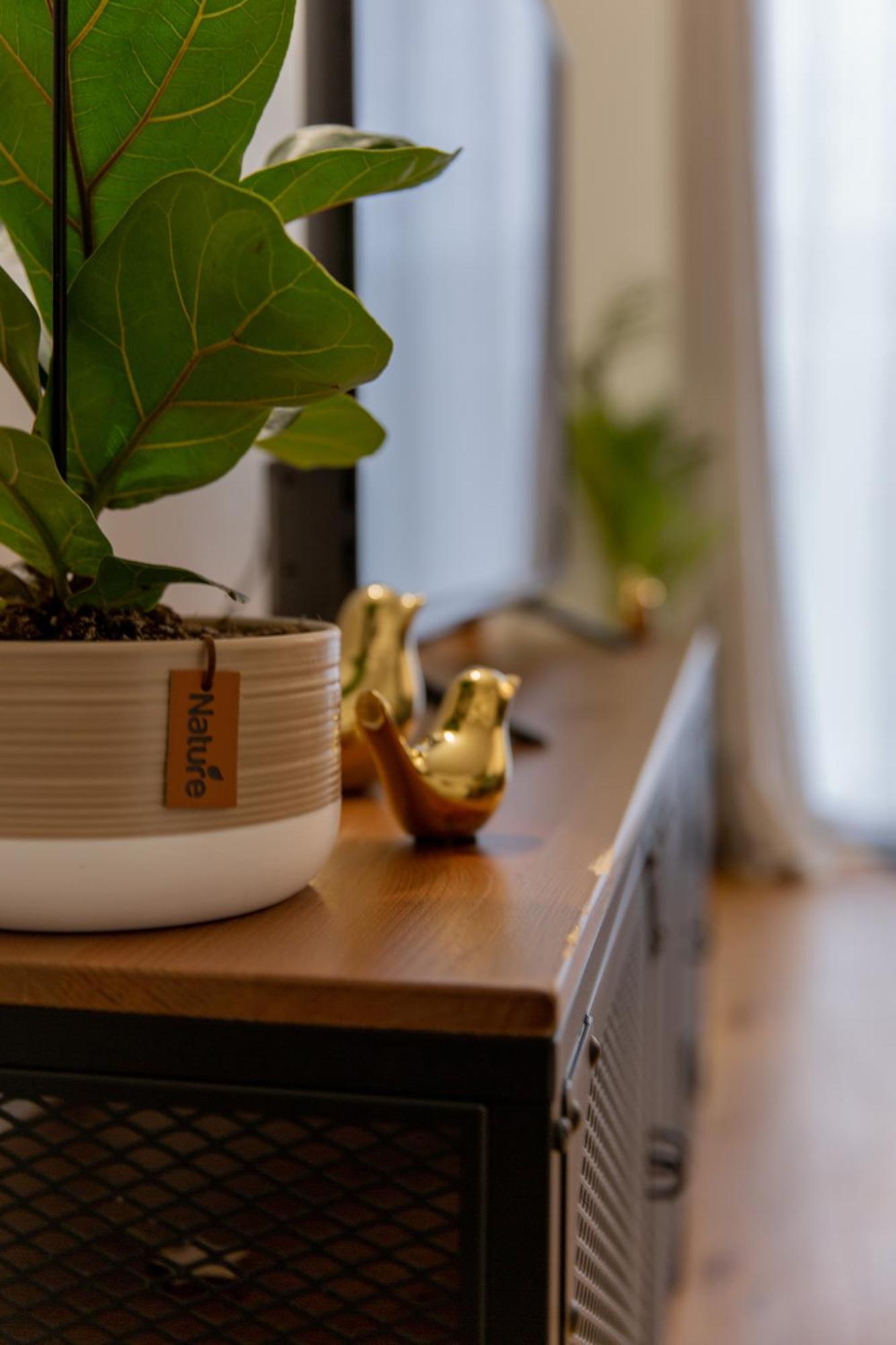 Delalauret Apartment - Vannes Centre Экстерьер фото
